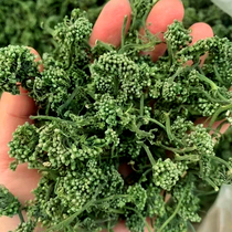 Ginseng flower tea fresh dried 500g 1 catty wild 8-year-old white Mountain ginseng big bud Northeast ginseng flower premium grade