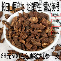 Changbaishan Black Tea health root tea Wild natural Dandelion pure mother-in-law Ding Da root 500 grams