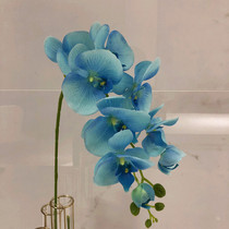 Home accessories European style simulation flower fake flower butterfly orchid silk flower decoration flower living room decoration single simulation silk flower