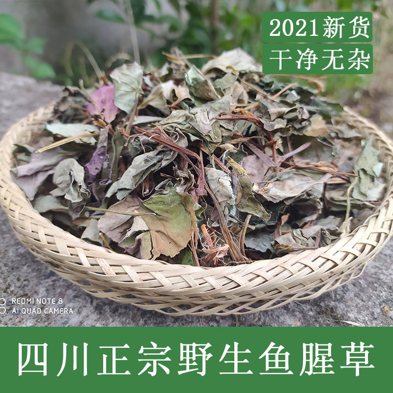 Houttuynia cordata tea dried goods 2021 new sunbathing wild fish star grass soaked water Sichuan folded ear root no sulfur one pound