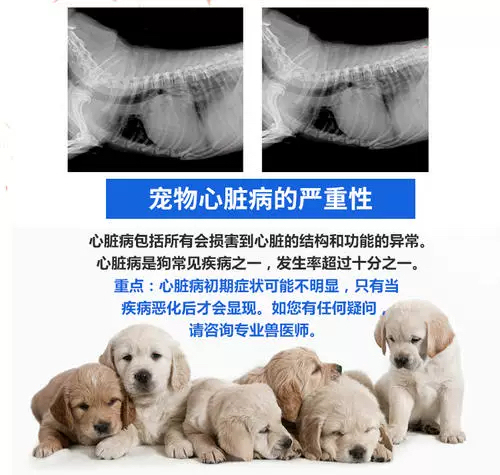 German-Made Pet Dogs and Cats, Specially Designed for Them, 1.25/2.5/5Mg