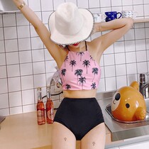 Korean womens swimsuit split neck neck small chest bikini two swimwear