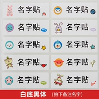 100 [черное тело] 46*15 мм