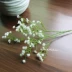 Mô phỏng ngôi sao trắng hoa giả nhựa hoa đầu chụp ảnh cưới trang trí cắm hoa trang trí hoa tươi - Hoa nhân tạo / Cây / Trái cây hoa giả hạc Hoa nhân tạo / Cây / Trái cây