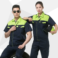 Зеленое плеч