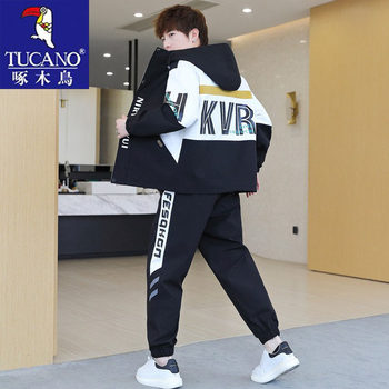 Woodpecker Spring and Autumn Jacket for Men, Teenagers, Hooded, Loose, Sports and Leisure Suit, Fashionable and Trendy Two-Piece Set