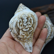 Nepalese elephant-nosed sea snail pure hand engraving