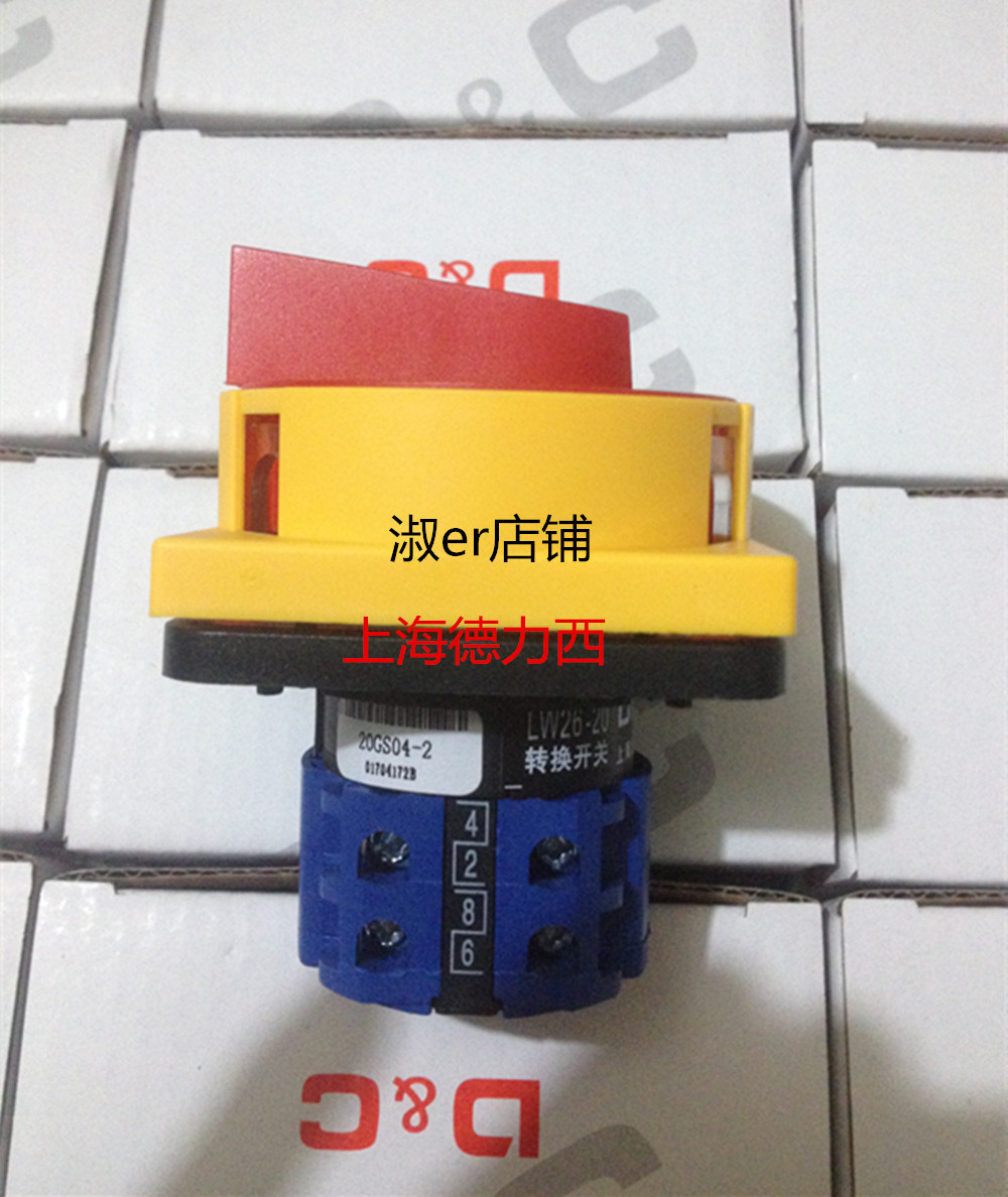 DC Shanghai Delcy Mighty Transfer Switch LW26-20GS04-2 Power Cut Off Switch Silver Dot