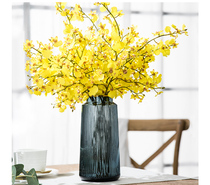 Light luxury Nordic glass vase creative transparent dining table hydroponic flower illustrator home crafts ins ornaments living room