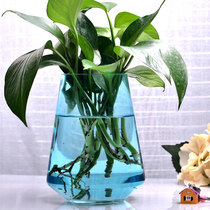 Every day special Nordic creative small fresh transparent vase hydroponic plants plus office simple potted ornaments