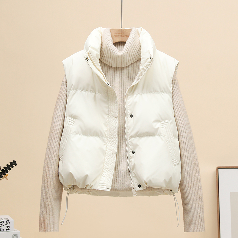 No-Wash Pu Leather down Vest for Women, Short Style, 2025 Autumn and Winter Korean Version, Stand Collar, Petite Fashion Vest Jacket