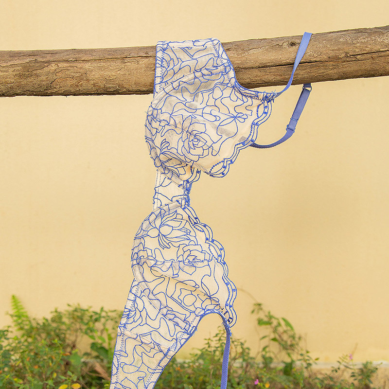 Girl beauty house ultra thin transparent European and American sexy underwear embroidered lace bra T pants bra bra set female bra