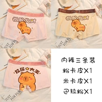 Три упаковки (Розовый каппи + Микапи + порошок Бала)