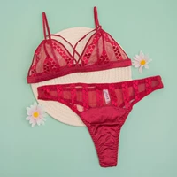 98100 Вино красный