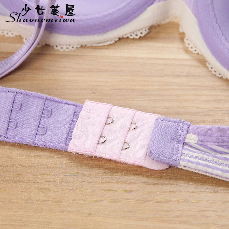 Teenage Girl Beauty House Underwear buckle bra lengthened buckle underwear Extension buckle bra lengthened buckle 2 row 3 buckle