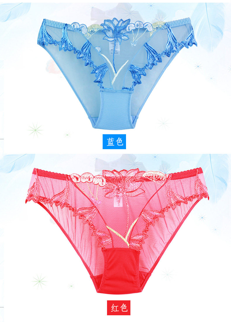 Slip jeunesse 3713K en coton - Ref 644133 Image 11
