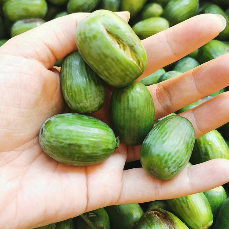 Spring Festival normal shipment Special Xiangqiao in 2021 new cargo and maple bridge special 500g bag gift box