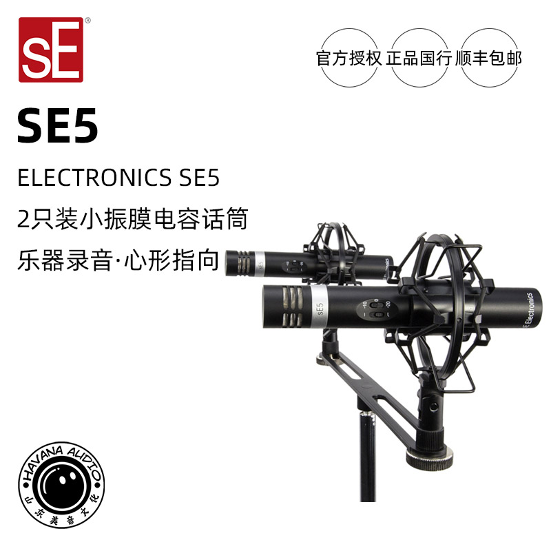 SE ELECTRICS SE5 2 only SMALL VIBRATION FILM INSTRUMENT RECORDING MICROPHONE STEREO CAPACITIVE MICROPHONE