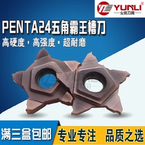 Yunli Five-pointed Star Overlord Groove Blade Yinska 1-3mm PENTA24R200-S 230 YL930