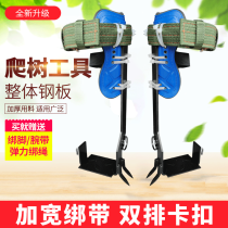 Tree climbing artifact Cat claw catch hornet foot tie big bend Anti-slip universal enhanced version of tree climbing shoes on the tree special tools