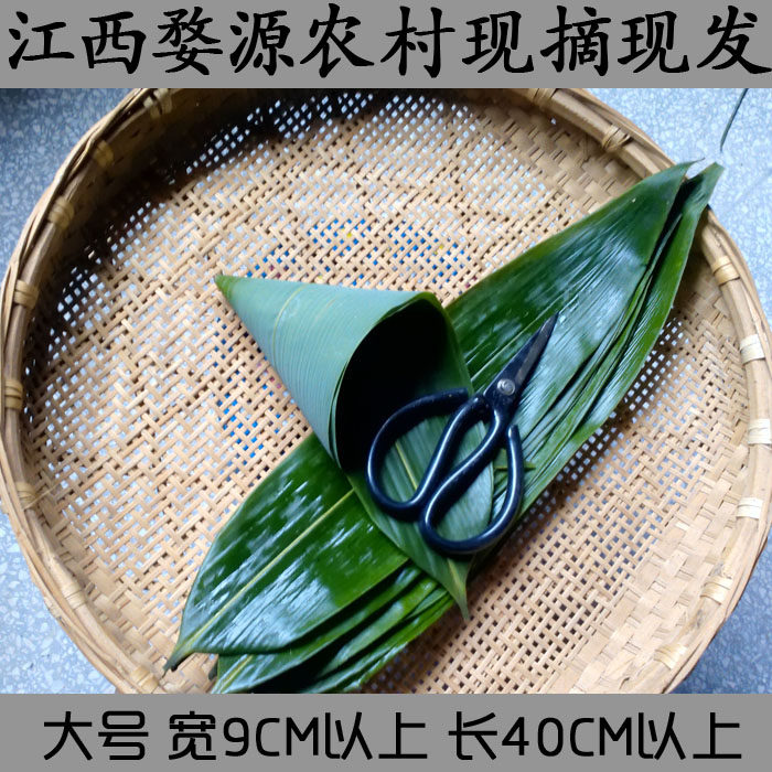 Fresh large rice dumpling leaves Ruo leaves Jiaxing rice dumpling leaves wrapped in meat dumplings Wild farm selection of a piece of 50 pieces to send cotton rope