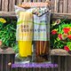 Shi Wenmei sushi burdock yellow radish strips radish slices sushi pickles sushi making materials radish strips 300g