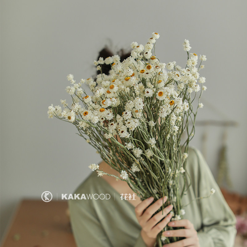 French small wax chamomile small white plum silver chamomile natural dry flower bouquet with small clear new mini-imported genuine flower decoration flower-Taobao