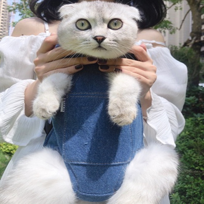 Mèo túi ra di động chó ba lô ra túi xách tay trước ngực con chó con Teddy dây đeo túi du lịch mèo - Cat / Dog hàng ngày Neccessities 	bát ăn nghiêng cho mèo	