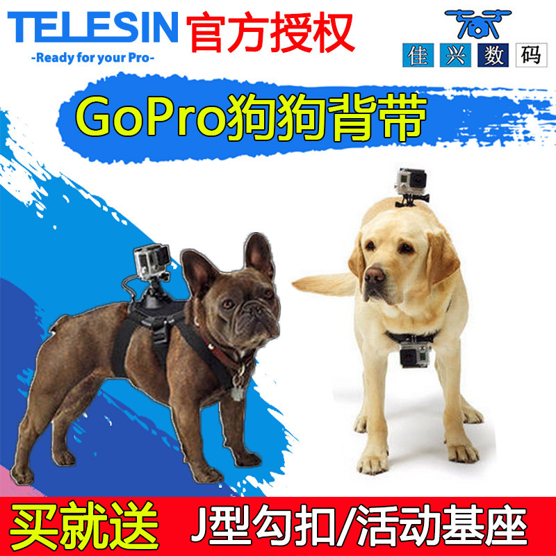 gopro9 8 7 6 5 Puppy breast with cuddling bag chest front fixed with large territory Action camera go pro accessories