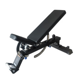 Jintuo Dumbbell Bench Bench Press Bench Multi-Angle Adjustable Load-Bearing 500kg