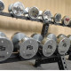 F9 Series Pure Steel Electroplating Solid Electroplated Dumbbells with Hard Chrome Plating