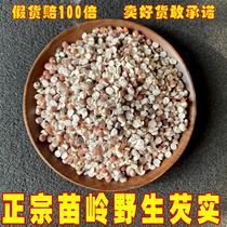 Miao Girl Guizhou Guizhou Pure Wild Gordon Eurale 500g Tgrade Chinese herbal medicine Chicken Head