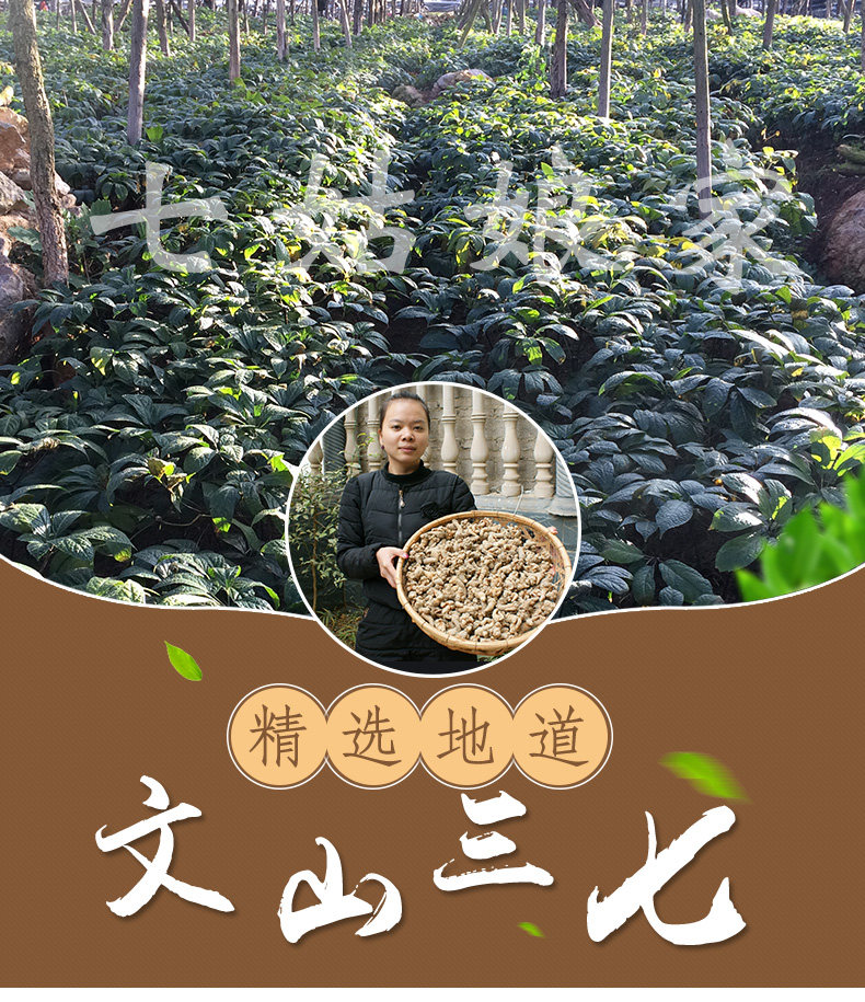 Sanqi Head (изменение) _01.jpg