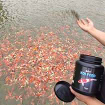 Koi fish feed small particles spirulina fish food goldfish farming special non-muddy water Freshwater general small fish food