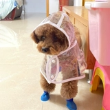 Дорога Пейдди Шиба Ину маленькая собака среднего размера дождь дождь -всеобъемлющий, чем медвежь