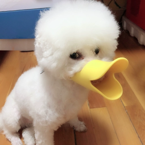 Собака, собачья рукав утяга