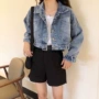 Mùa xuân và mùa thu 2018 mới áo khoác denim nữ ngắn phần nữ phiên bản Hàn Quốc của học sinh hoang dã lỏng lẻo là áo khoác mỏng áo khoác dạ nữ ngắn