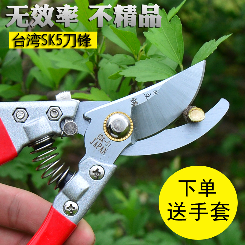 Gardening tools professional flower pruning scissors pruning shears household bonsai flowers and grass shears garden fruit tree multi-functional pruning shears