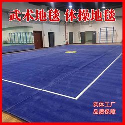 Martial Arts Carpet Standard Competition Martial Arts Routine Practice Dance Somersault Elastic Mat Martial Arts Competition Special Carpet