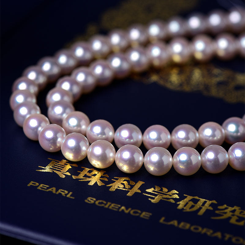 Wing｜01 04 New Bachelor's Choice of Akoya Sea Water String Pearl