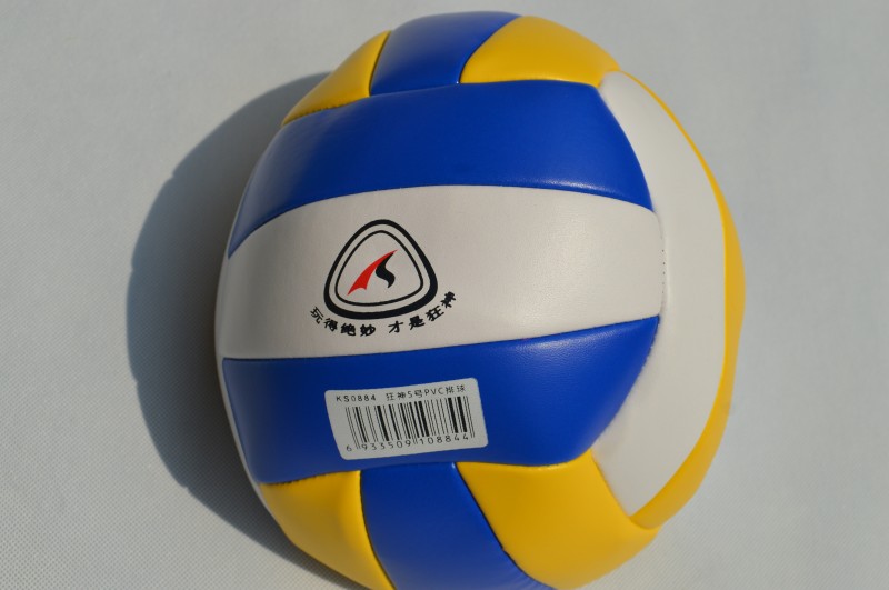 Ballon de volley - Ref 2010098 Image 8