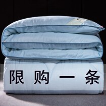 Winter silk quilt 100%mulberry silk quilt Winter quilt double spring and autumn quilt thickened to keep warm Summer cool quilt quilt core