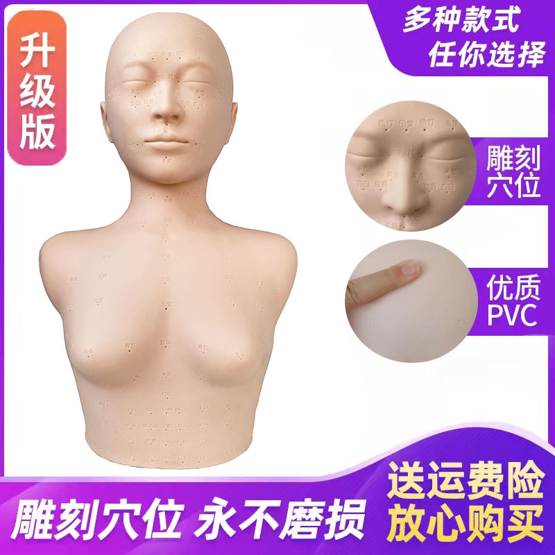 Skin manager head model special beauty salon practice facial acupoint massage practice practice dummy bald head model with shoulders
