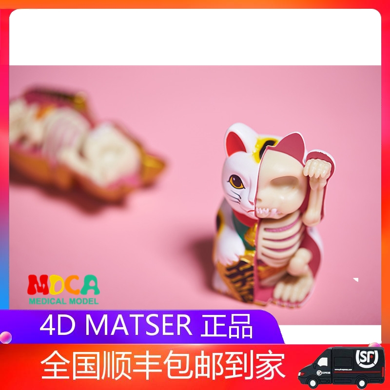 4D XXRAY white gold lucky cat Mighty Jaxx Jason Freeny anatomy cartoon ornaments