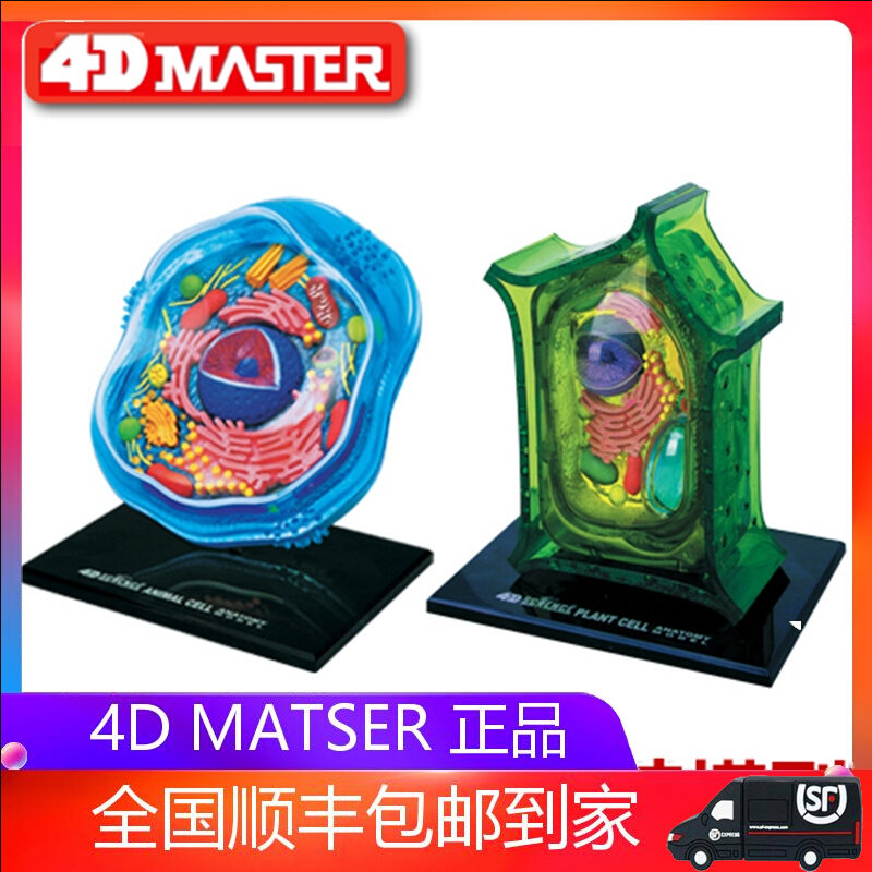 4D MASTER plant cell anatomy organs assembled model phage biological teaching toys