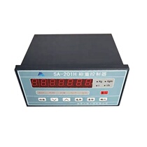 Nanjing Sanai electronic belt scale coal feeder Hopper scale with l material SA-201H weighing controller spot