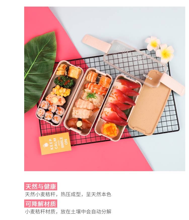 Lúa mì Nhật Bản nhiều lớp hộp ăn trưa thể thao hộp thể dục để làm việc hộp cơm trưa lò vi sóng có nắp lưới Hàn Quốc - Hộp cơm điện sưởi ấm cặp lông giữ nhiệt cắm điện