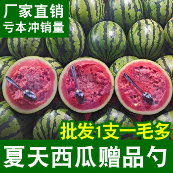 1千支装】吃西瓜勺子外卖一次性水果店超市西瓜赠品勺铁勺子长柄