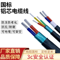 Outdoor aluminum wire 2 core 4 6 10 16 25 35 square three-phase four-wire overhead buried special armored cable