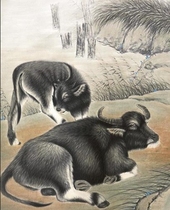 Large V Double Bull 39 9 Baumonth Live Live No Delay